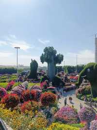 Dubai Miracle Garden