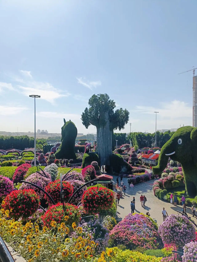 Dubai Miracle Garden