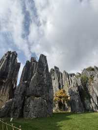 A Breathtaking Escape to Kunming’s Stone Forest – My Favorite Itinerary