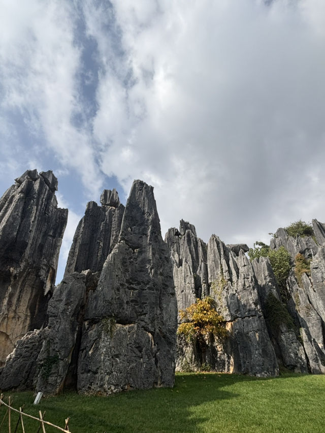 A Breathtaking Escape to Kunming’s Stone Forest – My Favorite Itinerary