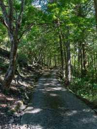【岡山県/新見市】まるで異世界！？な鍾乳洞