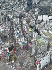 Shibuya Sky✨ จุดชมวิวในโตเกียว 360 องศา