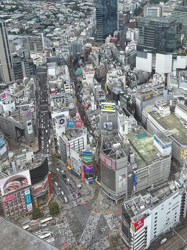 Shibuya Sky✨ จุดชมวิวในโตเกียว 360 องศา