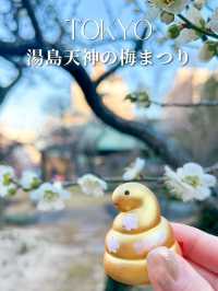 【梅が咲いたら春の予感】湯島天神 梅まつりの楽しみ方