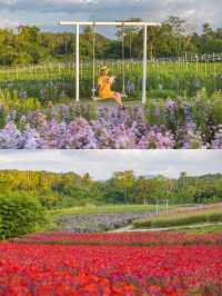Flory Day Khaoyai คาเฟ่ดอกไม้สุดปังเขาใหญ่