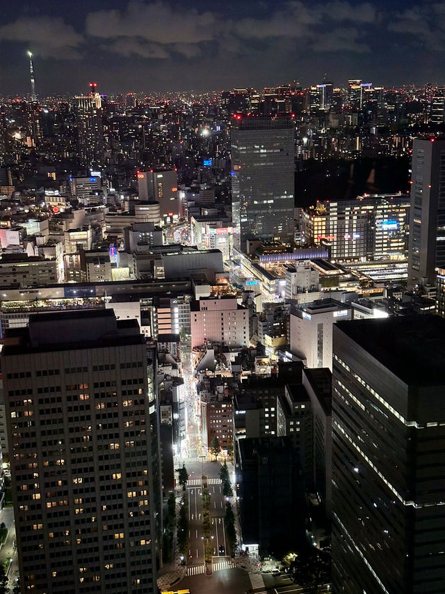 Tokyo’s Skyline Splendor at Sunset