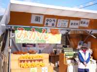 河津櫻的美—我們跟它刷過了