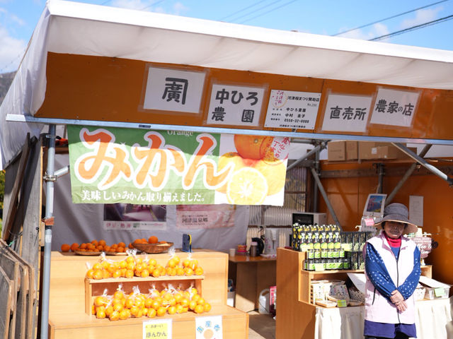河津櫻的美—我們跟它刷過了