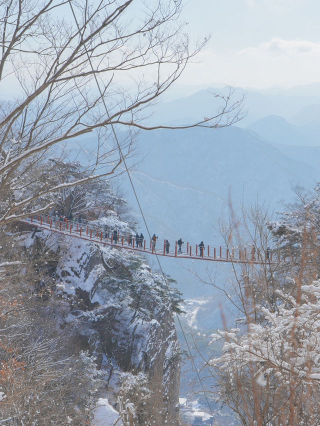 (실시간) 정말 눈물 날 만큼 아름다웠던 올 겨울 꼭 다녀와야 할 설산❄️🩵