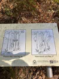 Boranup Forest Viewpoint