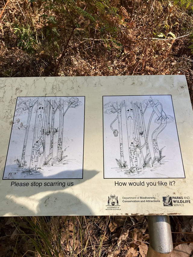 Boranup Forest Viewpoint