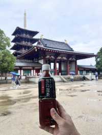 My First Taste of Japan: A Culinary Adventure