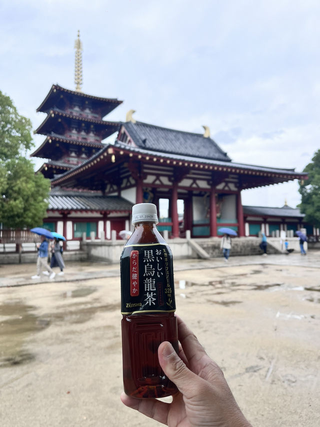 My First Taste of Japan: A Culinary Adventure