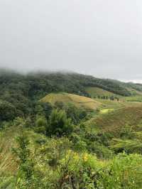 Ker Lee Grow  บ้านสายลม