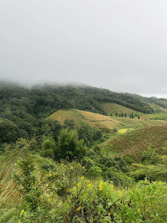 Ker Lee Grow  บ้านสายลม