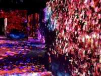福岡TeamLab Forest，超乎想像的數位藝術展覽！✨