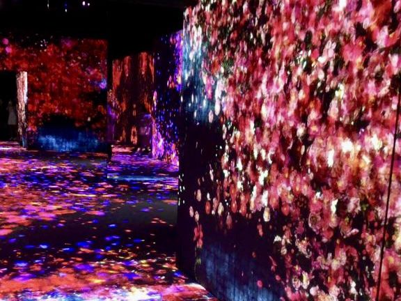 福岡TeamLab Forest，超乎想像的數位藝術展覽！✨