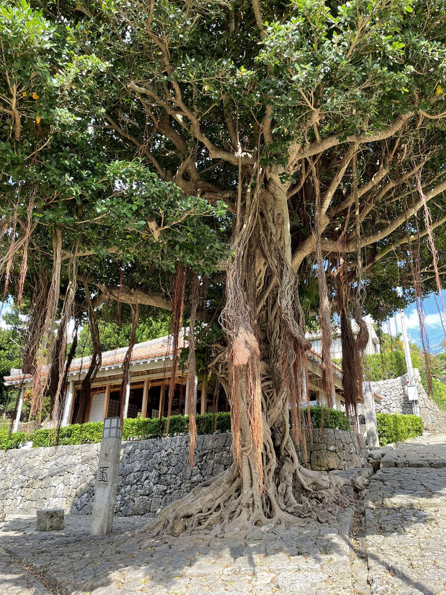 【沖縄】那覇市 首里城まで続く趣のある石畳散策
