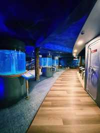 Dive into History at Labuan Marine Museum