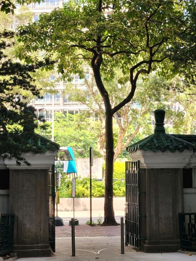 작아도 힐링하기엔 충분한 초록초록 "킹 조지 5세 메모리얼 공원"🌿