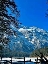 Spruce Meadow: A Natural Wonderland