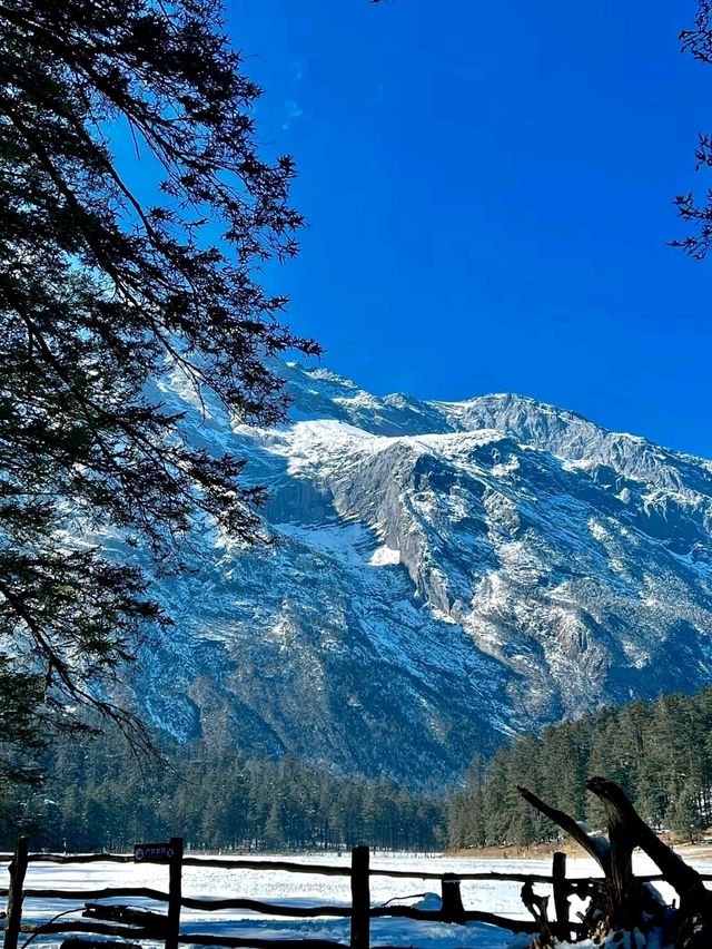 Spruce Meadow: A Natural Wonderland