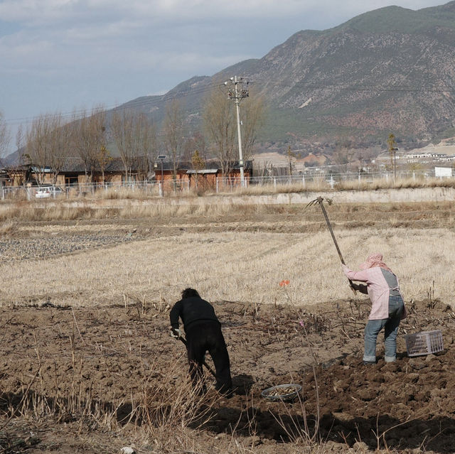 雲南之旅： 隱世古鎮沙溪，茶馬古道的靈魂。