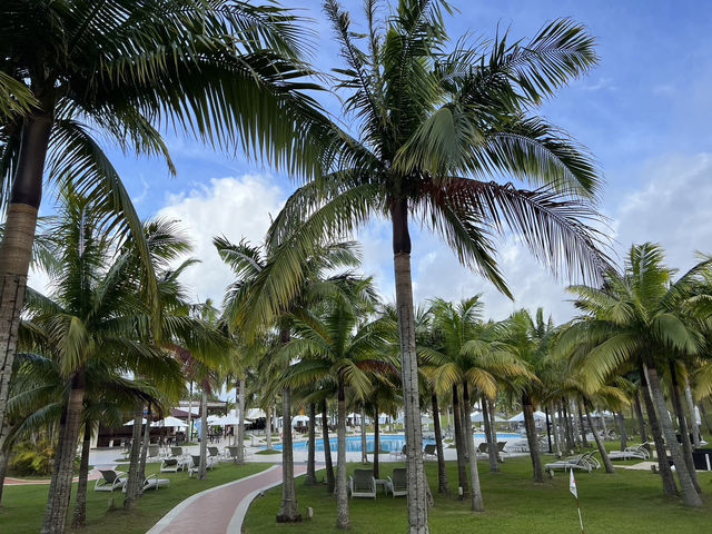 これぞ南国リゾート🏝️カヌチャベイホテル