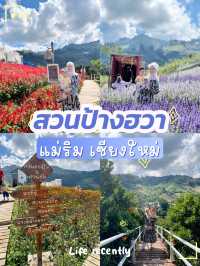 รวมที่เที่ยว แม่ริม เชียงดาว จังหวัดเชียงใหม่