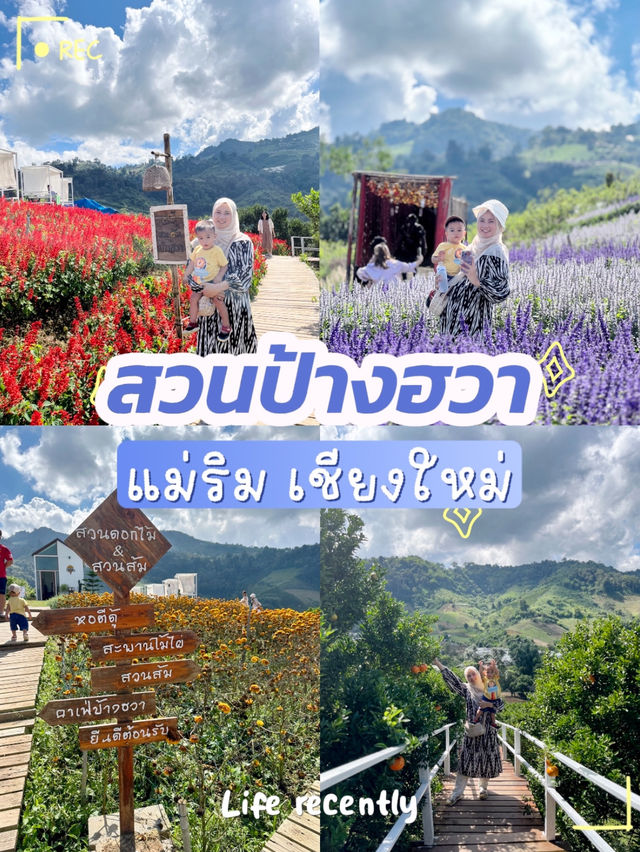 รวมที่เที่ยว แม่ริม เชียงดาว จังหวัดเชียงใหม่
