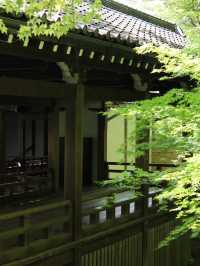 Eikando Temple: Kyoto’s Autumn Wonderland