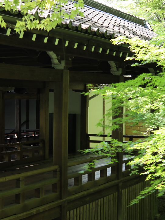 Eikando Temple: Kyoto’s Autumn Wonderland
