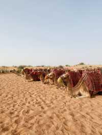 Beyond the Dunes: A Platinum Heritage Desert Adventure Like No Other 