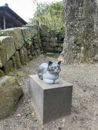 鹿兒島仙巖園遊記 - 微雨下遠觀櫻島