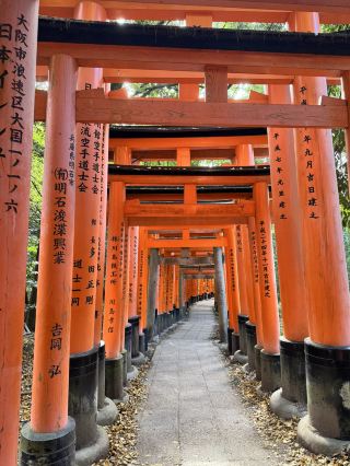 Kyoto - Điểm dừng mùa thu không thể bỏ 