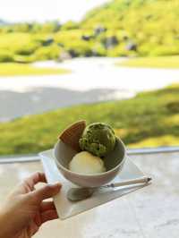 Adachi Museum of Art: A Harmonious Blend of Art and Nature