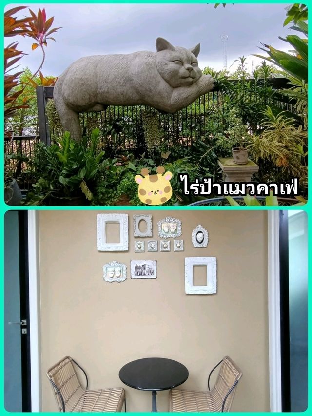 พิกัดคาเฟ่สัตหีบ