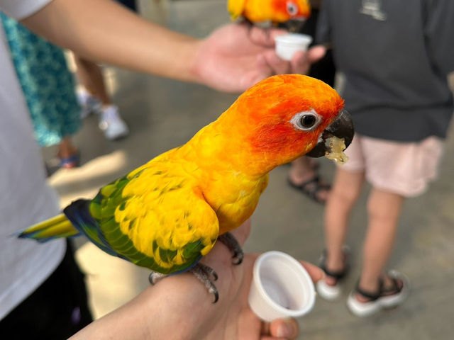【掛川花鳥園】