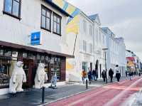  🇮🇸冰島首都shopping攻略