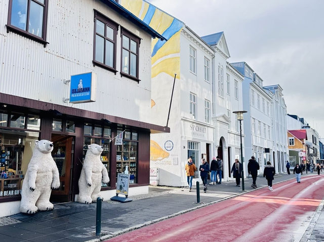  🇮🇸冰島首都shopping攻略
