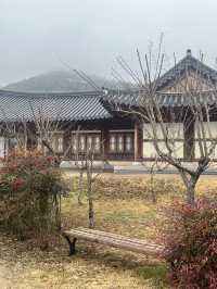 국내여행지 추천!! 전복의 성지 보길도여행+카페추천💚
