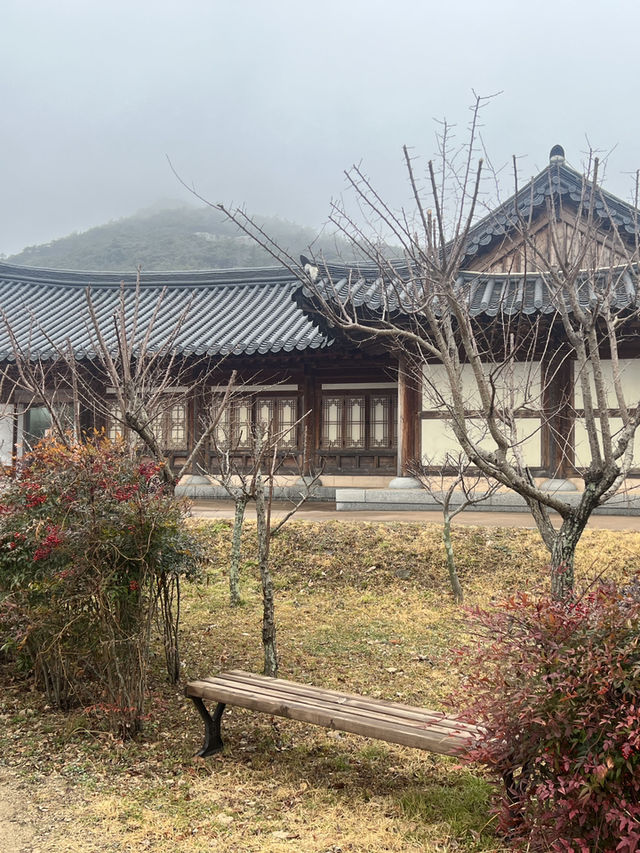 국내여행지 추천!! 전복의 성지 보길도여행+카페추천💚