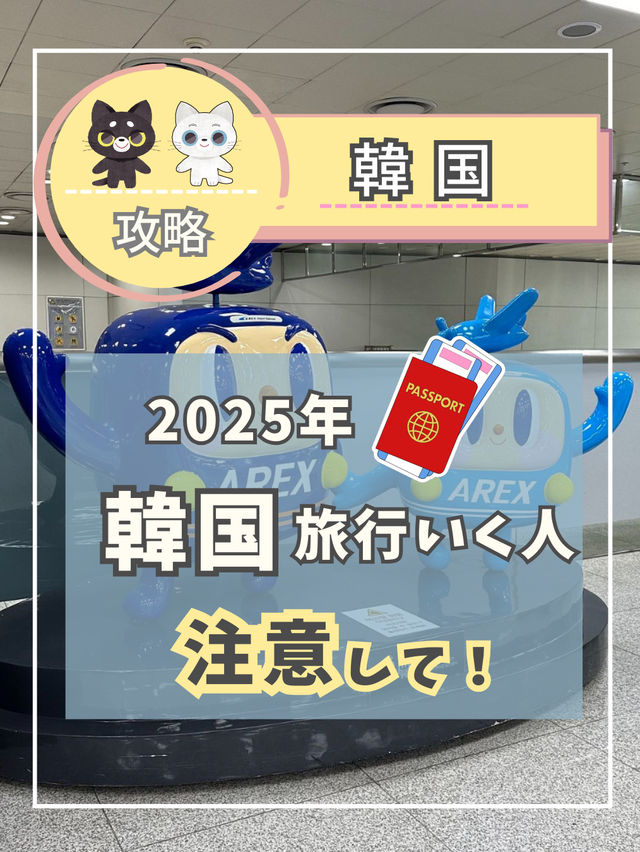 【韓国旅行に行く前に】2025年2月からオンラインで事前に登録してできるようになりました。