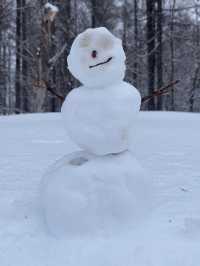 Spend A Day In Niseko Japan!!