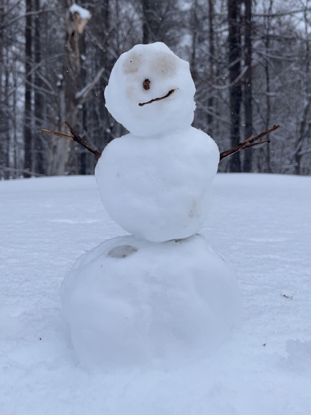 Spend A Day In Niseko Japan!!