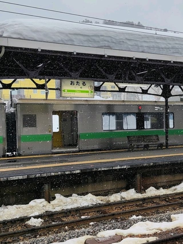 小樽春雪~新千歲機場搭jr到小樽