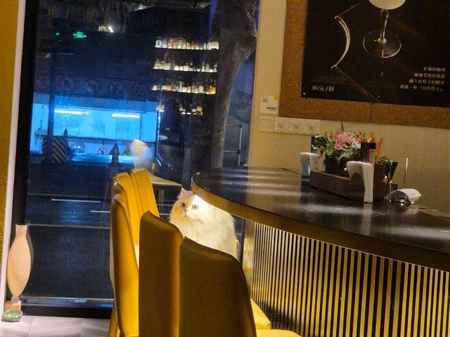 상하이 감성 충전✨ 난징동루 Tender Bar