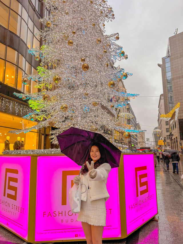 부다페스트의 크리스마스🎄