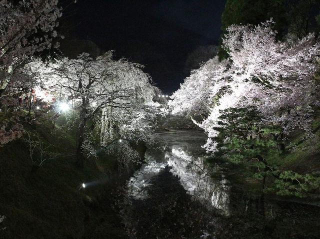 Chasing Sakura at Ueda Castle in Shishu, Nagano
