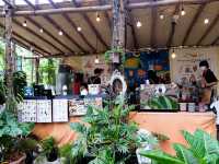 คาเฟ่ในป่าสน ราชบุรี